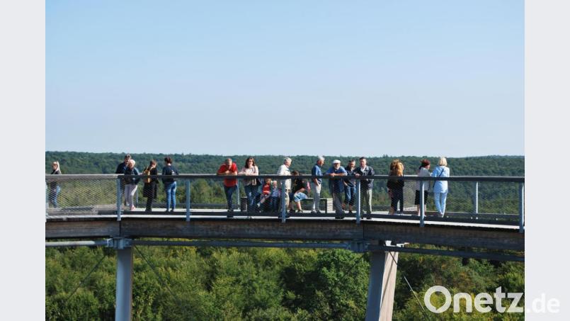 Die Ausflügler auf dem Baumwipfelpfad Steigerwald. Bild: exb