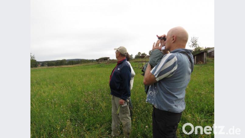 Die Exkursionsteilnehmer schauten nicht nur zum Boden. Mit dem Fernglas wurde auch der Himmel abgesucht zur Bestimmung der anwesenden Greif- und Singvögel. Bild: ubb