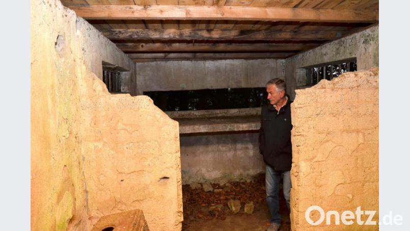 Durch eine breite Queröffnung ließ sich einst der ganze Grenzabschnitt bei Waidhaus überblicken. Dichter Bewuchs verhindet schon seit langer Zeit diese herrliche Aussicht. Bild: fjo