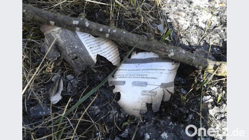 Die Baumfrevler haben Spuren hinterlassen. Mit Seiten wohl aus einem Schulbuch haben sie ein Lagerfeuer entfacht. Bild: Petra Hartl