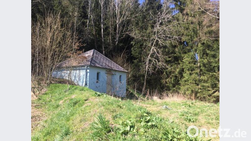 Unscheinbar und heruntergekommen stand das Wasserreservoire im Wald. Bild: dob
