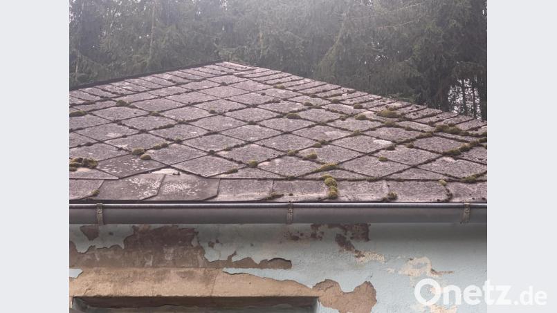 Auf dem Dach wuchs das Moos. Bild: dob