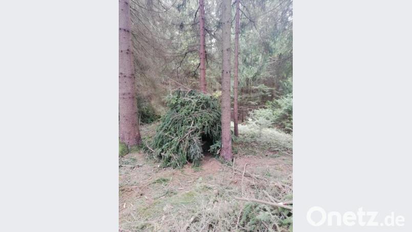 In solchen Unterständen können sich die Kinder in der freien Natur relativ geborgen aufhalten. Bild: soj