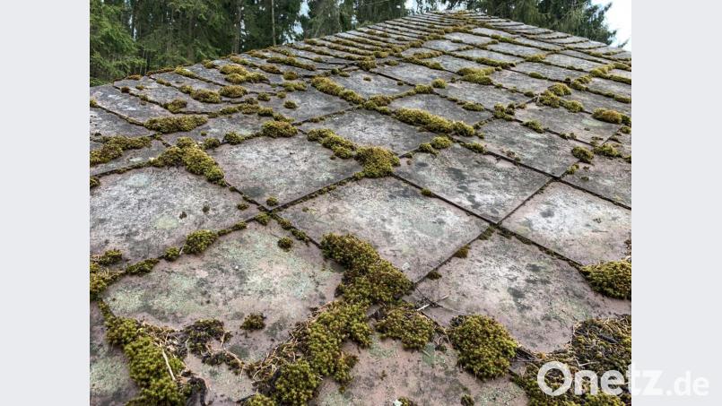 Längst wuchs Moos auf dem Dach. Bild: dob