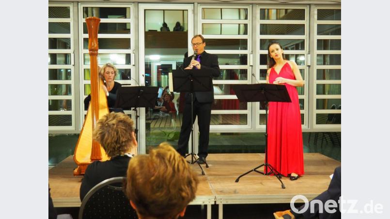 Bearbeitungen für (von rechts) Gesang (Juytyna Ilnicka), Klarinette (Gabor Lieli) und Harfe (Katharina Teufel-Lieli) begeisterten beim Kammermusikabend der Max-Reger-Tage im Bayernwerk Netz Weiden. Bild: Franz Lahm