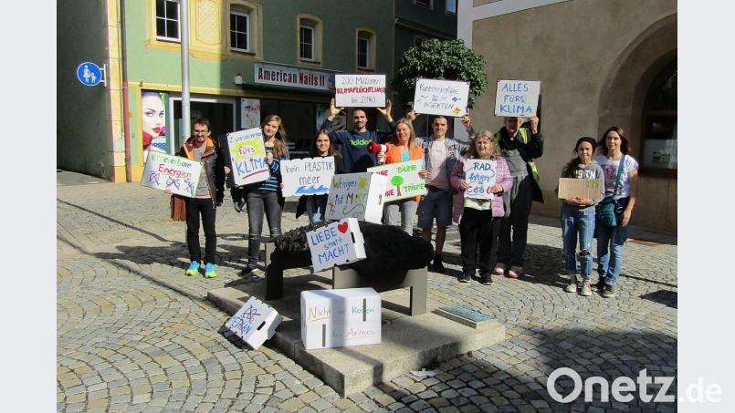 Einige Teilnehmer der Fridays-for-Future-Demonstration in Auerbach. Bild: sck