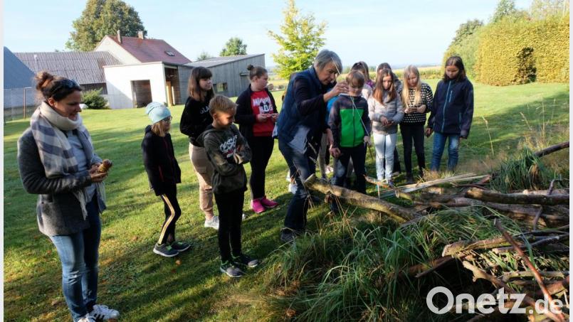 Nach getaner Arbeit stellen die Jugendlichen die kleinen Kunstwerke auf dem Holz- und Wiesengrund aus. Bild: le