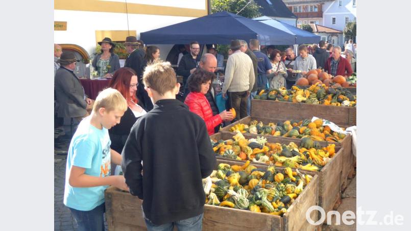 Die Dekokürbisse vom Beutner-Hof gibt es in ungeahnter Vielfalt. Bild: Schönberger, Ferdinand [fsb]