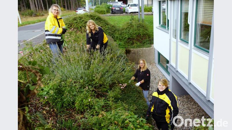 Statt Pakete austragen, Unkraut ausreißen. Bild: bkr