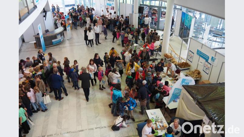 Mehr als 1000 Kinder strömen am Tag der Zahngesundheit in die Max-Reger-Halle. Bild: Bühner