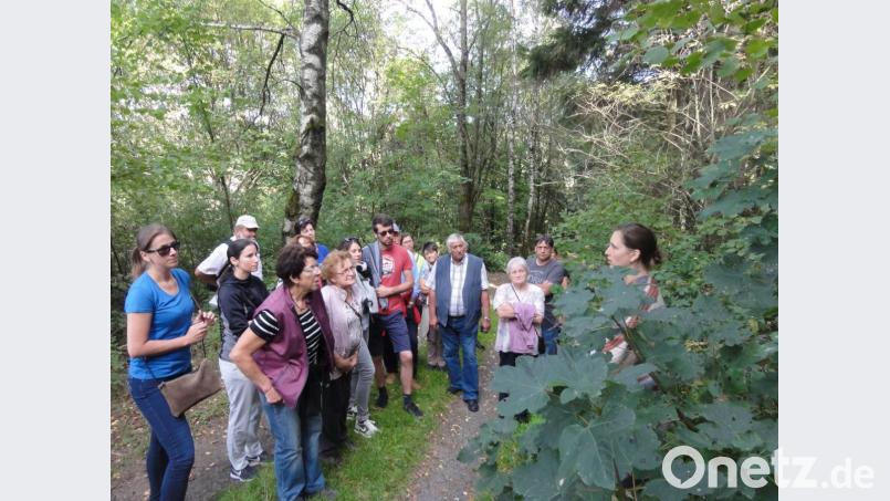 Neugierig lauschen die Speinsharter den Ausführungen von Anja Putzer (rechts) zu Heilwirkung und Nährwert der Wildkräuter. Bild: jhö