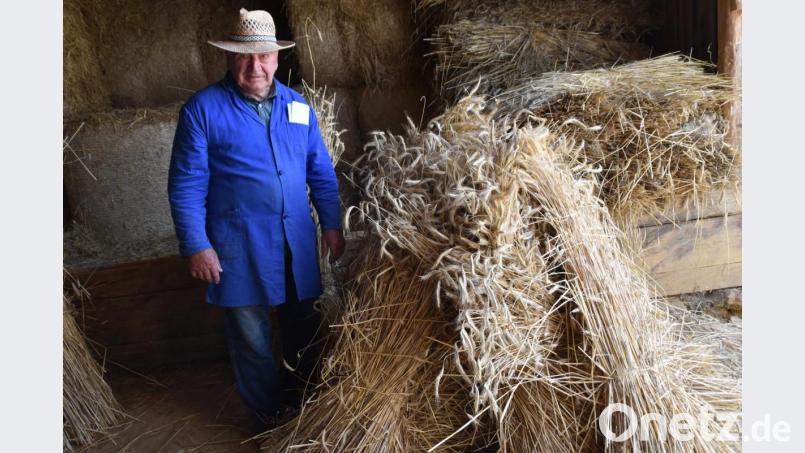 Kornmandln binden kann heute kaum einer mehr. Der 83- jährige Georg Selch kann es noch. Bild: hcz