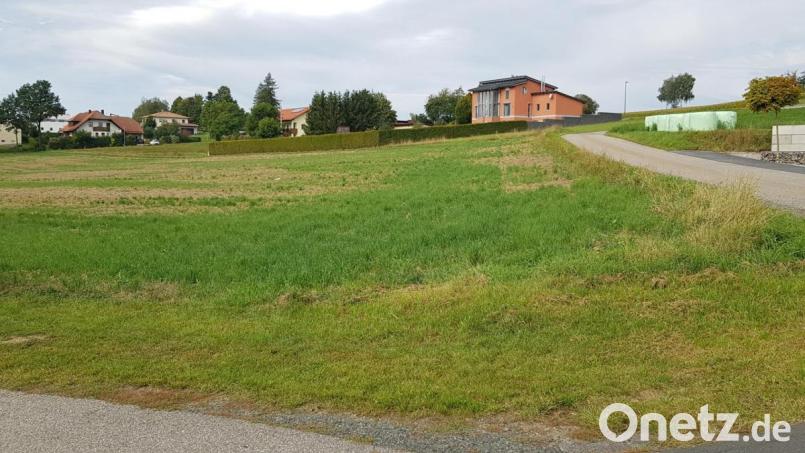 Auf diesem Areal sollen neue Häuser entstehen. Bild: dob