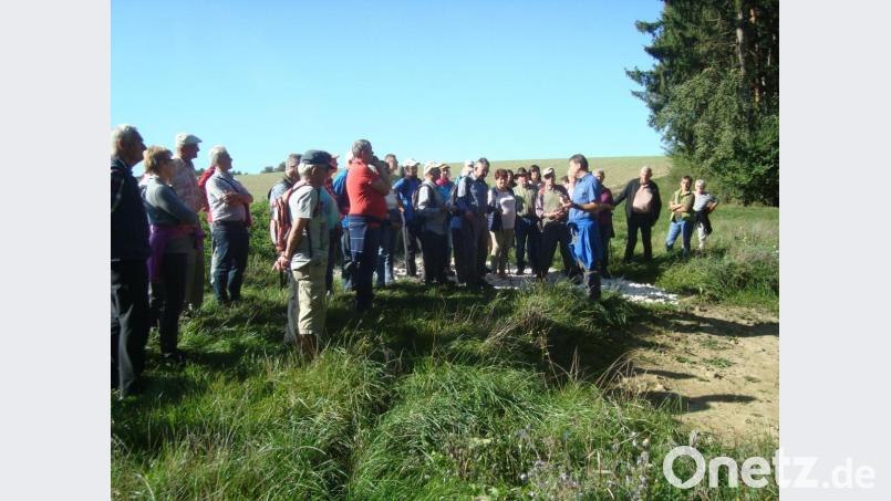 Gemeinderat Manfred Schmidt aus Salleröd (Fünfter von rechts) erläuterte seinen Beitrag zum „Projekt Trittsteinbiotop“, für das sich auch der Naturpark Hirschwald stark macht. Bild: schß