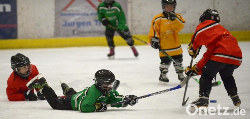 Beim ERSC Amberg trainieren 150 Nachwuchsspieler (im Bild ein Training aus der Saison 2018/19). Am Samstag, 28. September, laden die Jüngsten der Young Lions zum Freundschaftsturnier in die Eishalle Amberg. Bild: ref