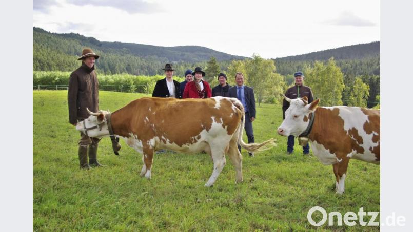 Vorfreude auf den Handwerker- und Erntemarkt: Im Bild von links Martin Dengler, Moritz, freireisender Wandergeselle, Klaus Wiedemann, Landwirt aus Wintersreuth, Josephine, Wandergesellin aus dem freien Begegnungsschacht, Alexander Christoph, Landwirt aus Stemmas, der Hohenberger Bürgermeister Jürgen Hoffmann und Reinhard Kraus, Landwirt aus Hundsbach, auf der Rinderweide. Bild: fph