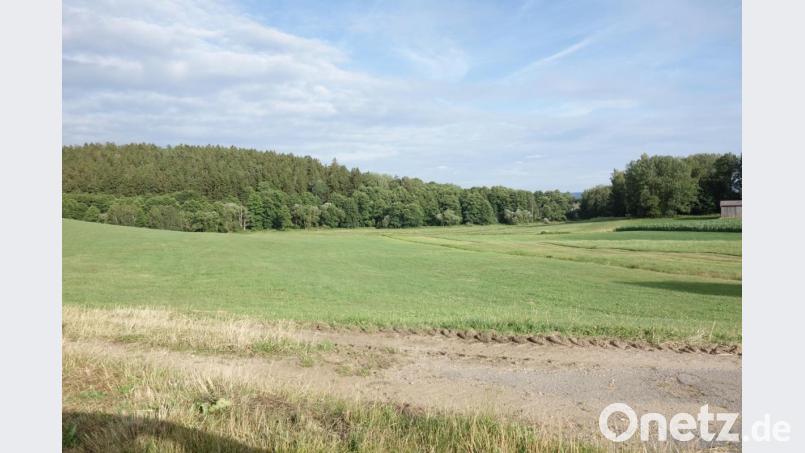 Heute erinnert nichts mehr an den böhmischen Schlossort Ströbl, der sich unmittelbar entlang der Grenze zu Tschechien befand, die sich exakt entlang der Waldgrenze bewegt. Bild: fjo