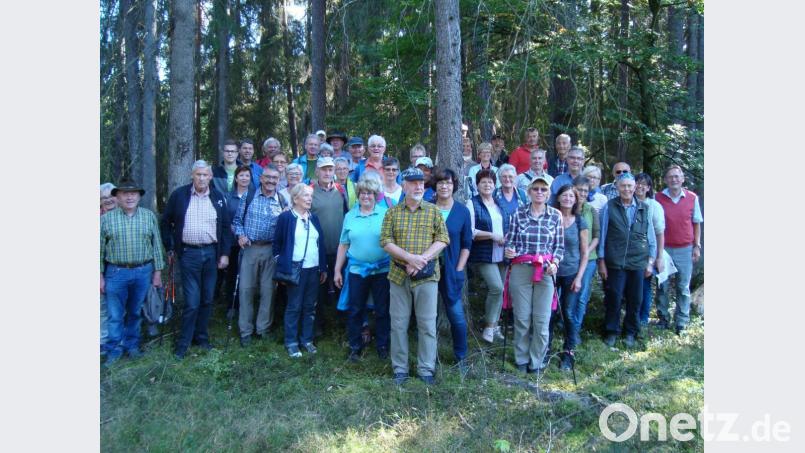 Ein Höhepunkt der Wanderung war die Besichtigung des rund 30 Gräber umfassenden Grabhügelfeldes im Salleröder Tal mit Wanderführer Josef Schmaußer (rechts). Bild: schß