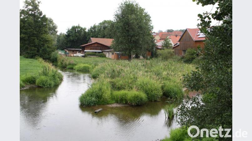 Ein Einwohner des Mühlbachviertels wehrte sich gegen die nur mehr geringfügigen Pflegearbeiten des Wasserwirtschaftsamts am Haidenaablauf, weil er eine erhöhte Überschwemmungsgefahr befürchtete. Nun will die Behörde doch prüfen, ob wieder eine umfassendere Bereinigung wie in früheren Jahren stattfinden soll. Bild: bjp
