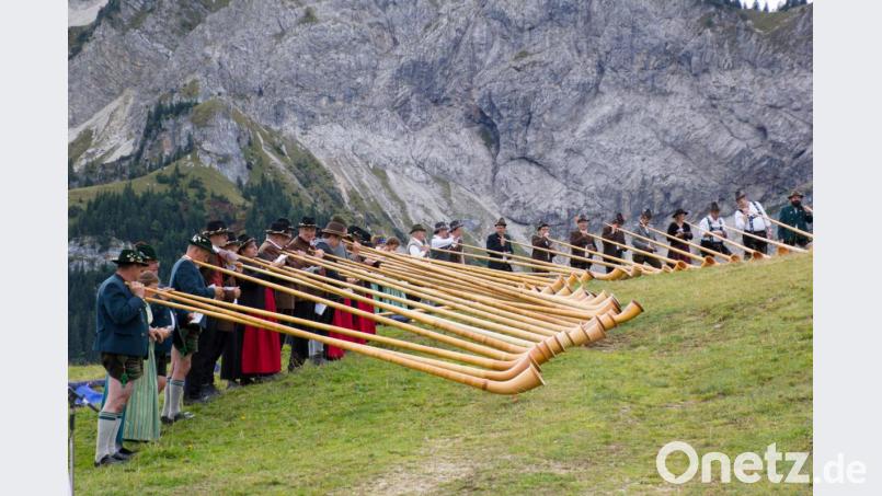 Die Alphornbläser spielten bei der Alphornbergmesse auf dem Breitenberg bei Pforten im Ostallgäu. Bild: Markus Werner/exb