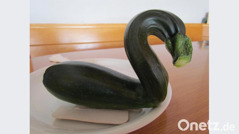 Nicht nur auf dem Wasser sind Schwäne zu finden, sondern auch im Garten - wie dieser Zucchini-Entenvogel. Bild: is