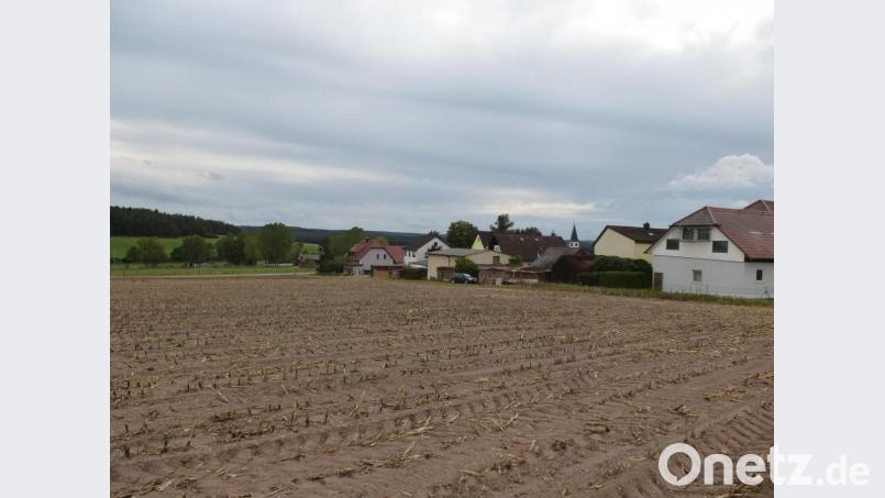 Bauland gibt es noch in Thansüß. Auf der Rückseite der Häuserzeile Weidener Straße in Richtung Gut Konradinsgrund können weitere sechs Wohnhäuser entstehen. Bild: bk