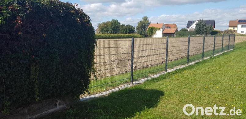 An die bestehende Mauer grenzt bereits ein Mattenzaun an, der hinterpflanzt werden könnte, um Sichtschutz zu erreichen. Bild: dob