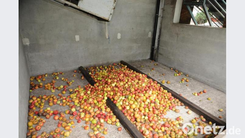 Ein paar Zentner, wo normalerweise sonst schon viele Tonnen liegen: Es gibt heuer fast keine Äpfel für die Obstverwertung. Bild: ge