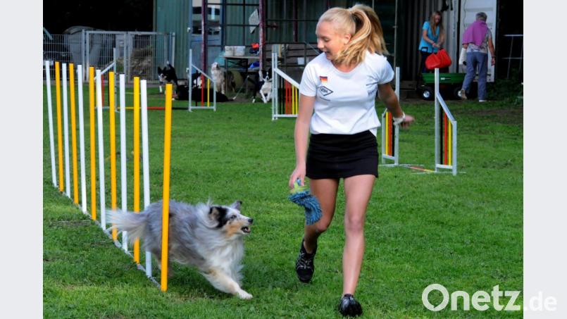 Wieselflink flitzt Chino durch die Slalom-Stangen. Beim Training sind Hilfsmittel wie ein Spielzeug erlaubt, beim Turnier muss Jana Remer darauf verzichten. Leine, Halsband, Spielzeug oder Leckerlis sind bei den Wettkämpfen verboten. Bild: Stephan Huber