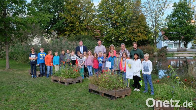 Bürgermeister Hans-Martin Schertl, Konrektor Peter Großmann, Marianne Metzner, Arrmin Heuberger und Jonas Wurzer (hintere Reihe von links) freuen sich mit den Schulkindern über die blühende Vielfalt in den neuen Pflanztrögen am Schnellweiher. Bild: Stefanie Gradl