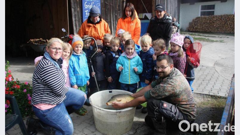 Die Aufzucht und Pflege der Karpfen erklärten Stefanie Maierhöfer (links) und ihr Ehemann Andreas (rechts), die die Mädchen und Jungen des Kindergartens St. Elisabeth zu sich eingeladen hatten. Bild: wro