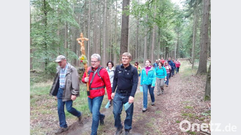 Eine Wallfahrtsgruppe aus der Pfarreiengemeinschaft Beidl-Plößberg mit rund 20 Personen pilgerte etwa 25 Kilometer nach Fahrenberg. Zum ersten Mal schlossen sich heuer auch Teilnehmer aus Beidl an. Bild: flt