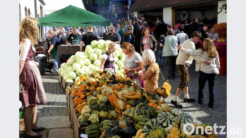 Leuchtende Herbstfarben: Kraut und Kürbisse auf dem Hoffest. Bild: Schönberger, Ferdinand [fsb]