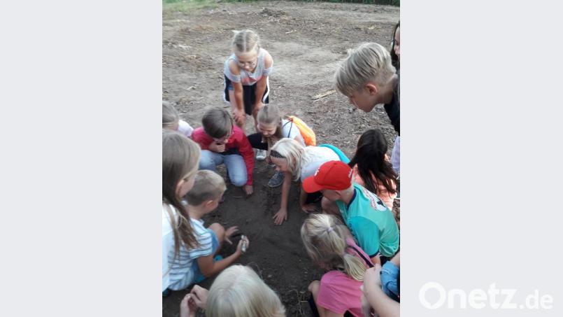 Die spannende Schnitzeljagd kam bei den Kindern gut an. Bild: exb