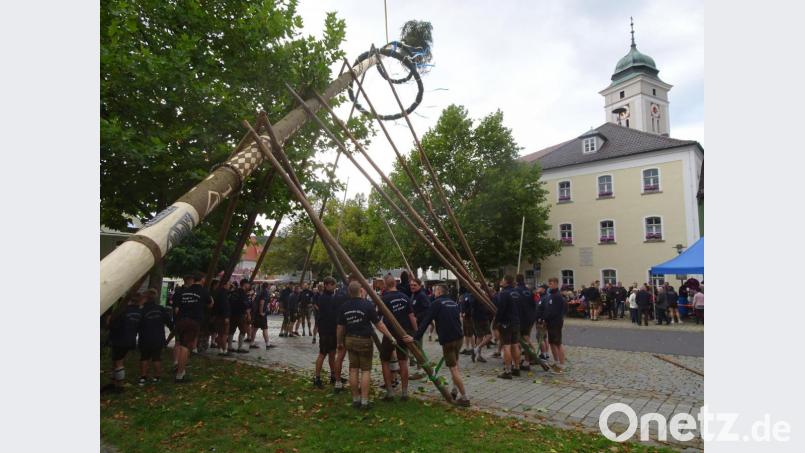 Zahlreiche Kirwaburschen stemmten den Baum in die Höhe. Bild: hm
