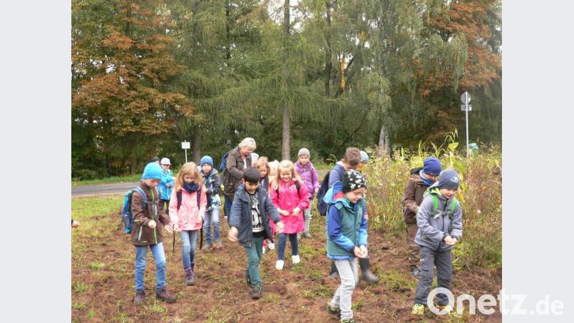 Eine Wiese an der Luhe war in diesem Jahr das Ziel des Wandertags. Bild: mh