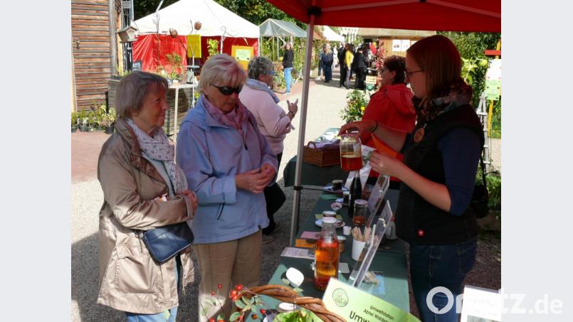 Johanna Härtl, die Leiterin der Umweltstation Waldsassen, beantwortet am Stand bei der Obstbörse Fragen interessierter Besucher. Bild: kgg