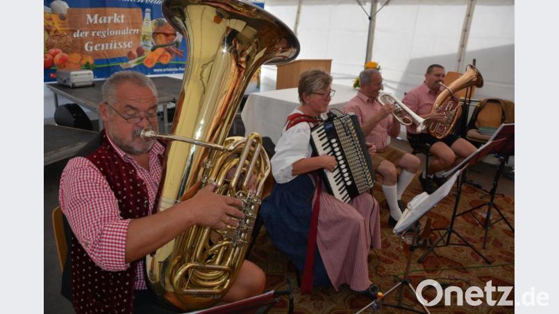 Die „Heusterzmusikanten“ spielten im Festzelt auf. Bild: jr