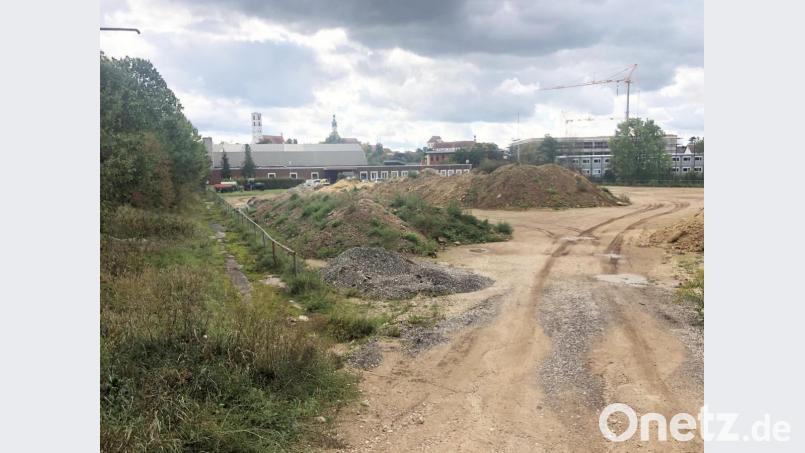 Hier am Katzenberg soll auf dem ehemaligen Allwetterplatz die neue Kita der Stadt entstehen. Noch türmen sich hier allerdings die Erdhügel. Bild: ge