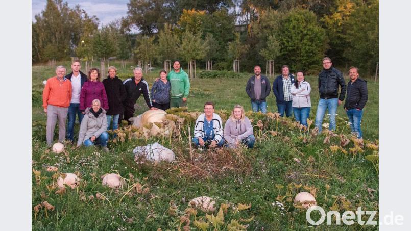 Die Kürbisgruppe und Organisatoren des Kürbisfestes auf der Kürbisplantage im Bürgerpark. Bild: nza