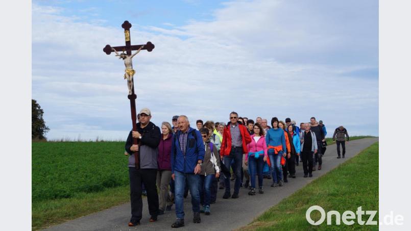 An der 35. Pfarrwallfahrt zum Fahrenberg beteiligen sich heuer 42 Pilger aus der Pfarrgemeinde Schirmitz/Bechtsrieth. An der Spitze des Zuges wird das große Wallfahrtskreuz mitgetragen. Bild: du