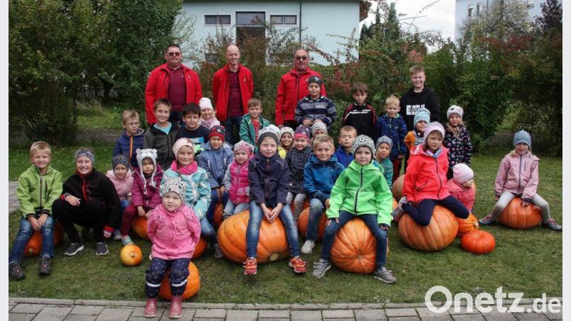 Schwere und kleine Kürbisse wurden ans Siedlerheim gebracht, um von der Jury (von links Martin Hösl, Stefan Eckl und Reimund Frech) bewertet zu werden. Bild: wro