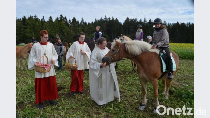 Nach dem Segen gibt's von Pfarrer Hubert Bartel eine harte Semmel. Viele Pferde verspeisten das Leckerli im Eiltempo. Bild: fz