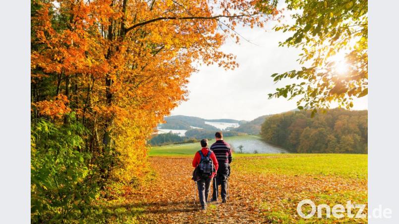 Bei einer Studie, in der insgesamt 7000 Menschen zwischen 20 und 59 Jahren in ganz Europa befragt wurden, gab über ein Drittel der Teilnehmer an, dass sie Wandern glücklich macht. Bild: eyetronic – stock.adobe.com