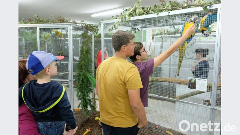 Mit einer bunten Parade exotischer Vögel will der Kleintierzuchtverein Eschenbach am Wochenende (5./6. Oktober) die Tierliebhaber verzaubern Bild: do