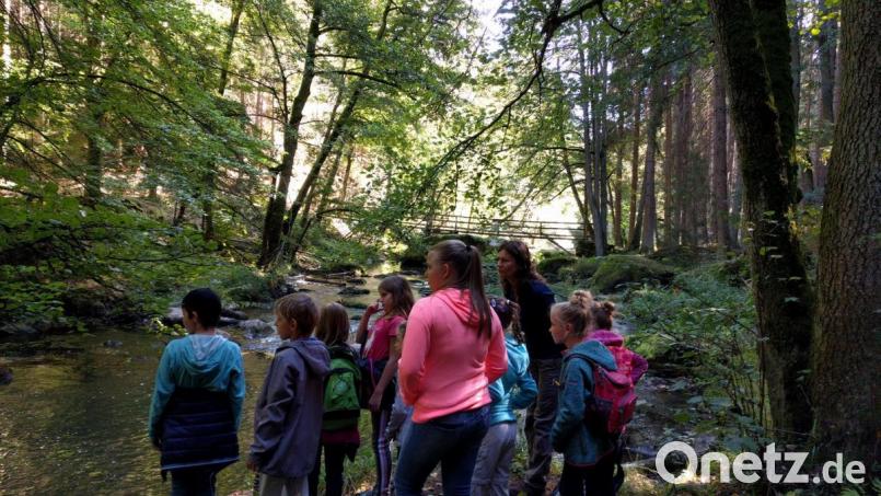 Geoparkrangerin Angela Scharnagl erklärte den Kindern mit ihren Begleitern anschaulich die Entstehung der Waldnaab. Bild: flt