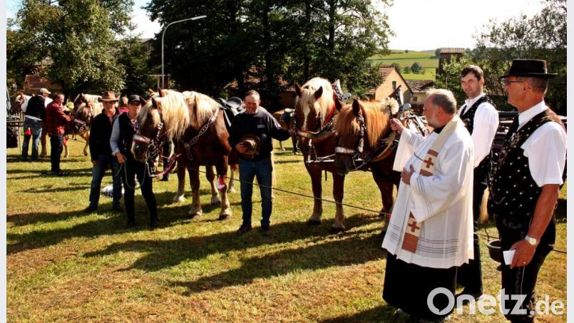 Bei der Wolfgangskapelle in Engleshof segnet der Michldorfer Pfarrer Alfons Forster in Begleitung der beiden Vorsitzenden der Haflingerzüchter und Pferdefreunde Kemnath, Lorenz Gebert aus Pirk und Robert Zimmermann aus Schwarzhofen (von rechts), als „Hilfsministranten“ jedes einzelne Pferd samt Reiter oder Gespannführer. Bild: ads