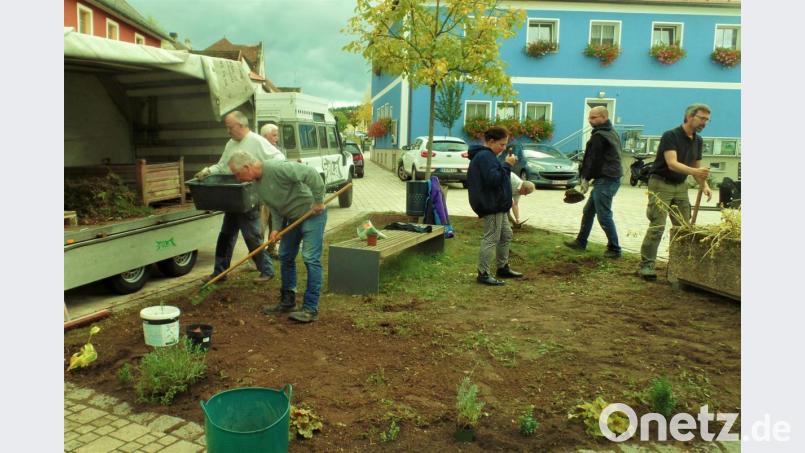 Viele Mitglieder der Reservistenkameradschaft, vom Oberpfälzer Waldverein und freiwillige Helfer haben am Samstag mit angepackt und das Umfeld des Kriegerdenkmals mit ihrer Pflanzaktion verschönert. KRK-Vereinswirtin Rita Frieser hat dazu den Anstoß gegeben. Bild: jml