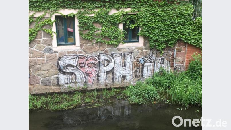 Unvergessen: Ein Graffito an einer Hausmauer in Leipzig erinnert an die ermordete Sophia Lösche. Die 28-Jährige war auf dem Weg von ihrer Studenten-WG zu ihren Eltern nach Amberg, als sie ermordet wurde. Bild: exb