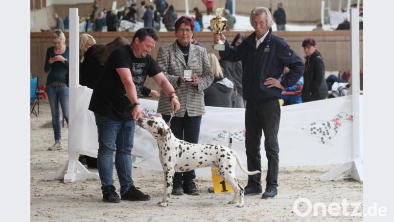 Thomas Höppner (links) mit seinem Dalmatinerrüden „Dante", dem besten Hund der Ausstellung, sowie Richterin Isolde Huber und Sonderleiter Johann Heindl. Bild: exb